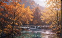 Forest Light